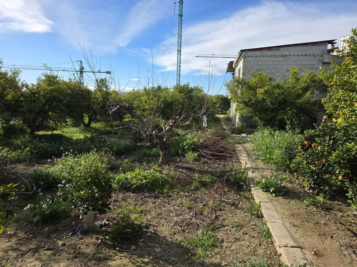 House for sale in Las Torres de Cotillas