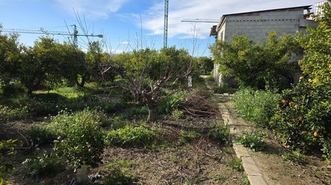 VENTA DE FINCA CON NARANJOS Y LIMONEROS