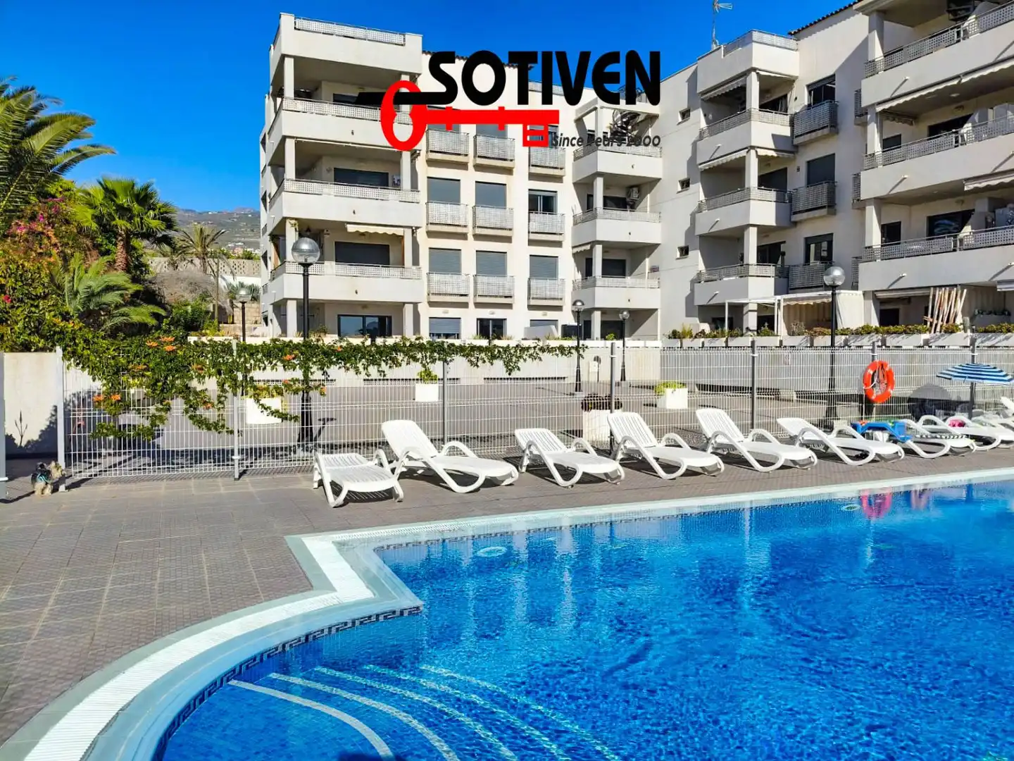 Apartamento con piscina en venta en El Horno. Edf. Paraíso V, imagen 8