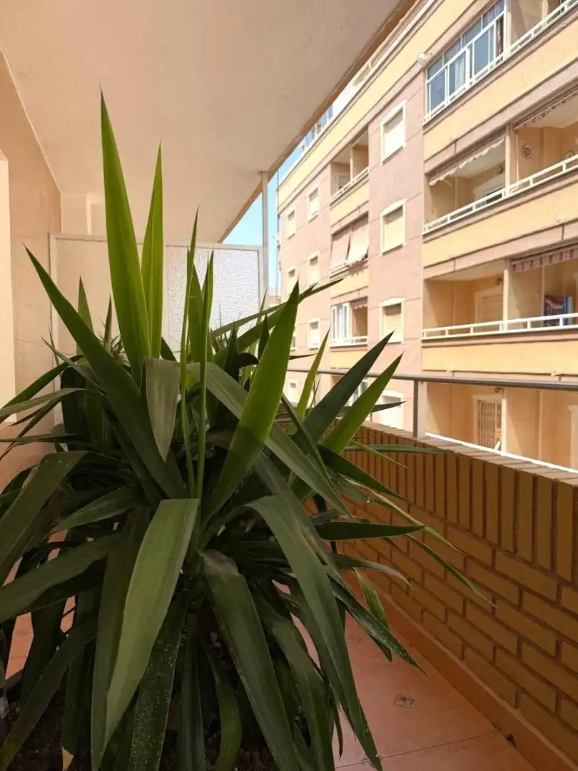 Apartamento con terraza en venta en Playa del Cura, imagen 22