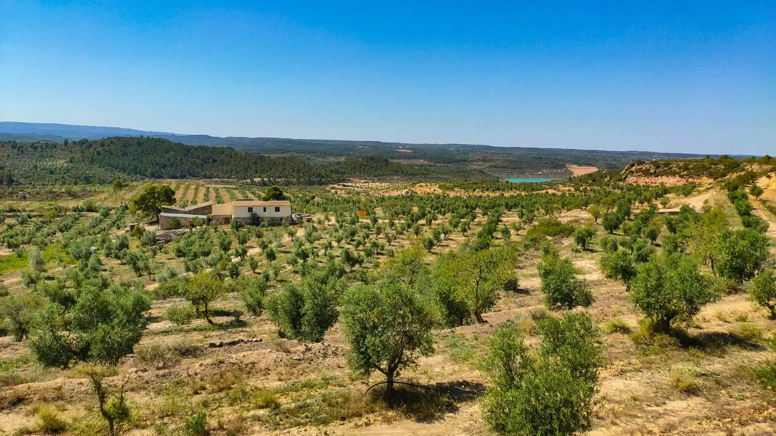 Rural land for sale in Castelldans, imagen 2