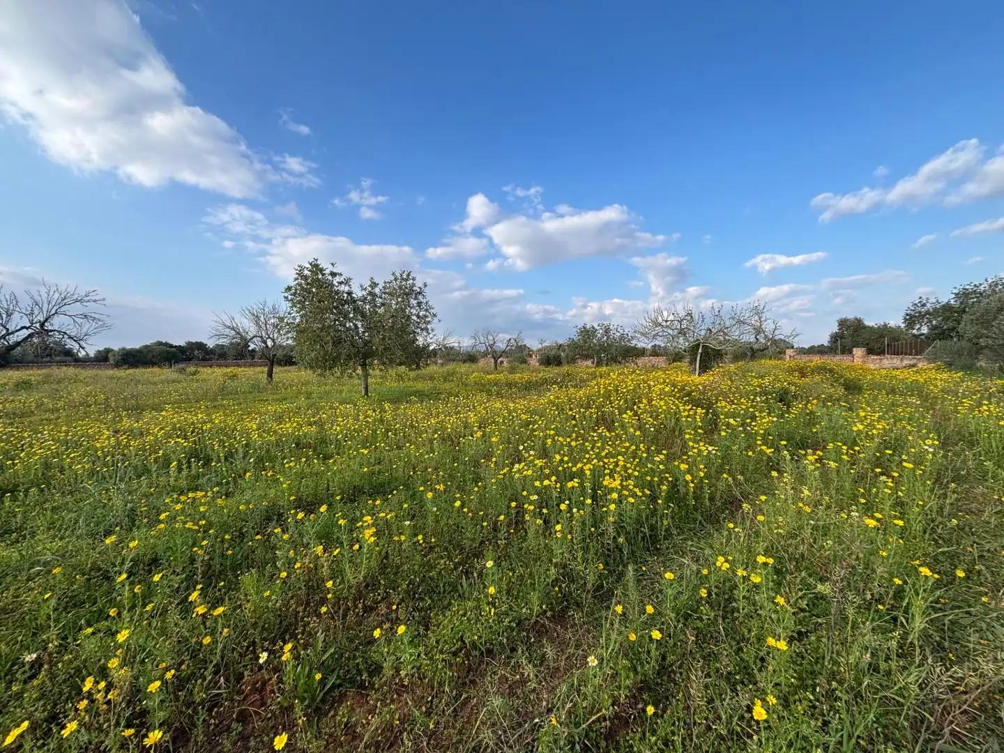 Residencial en venda en Llucmajor