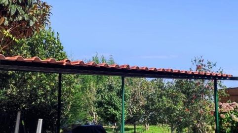 Foto 5 de Finca rústica en venta en Icod El Alto, Los Realejos