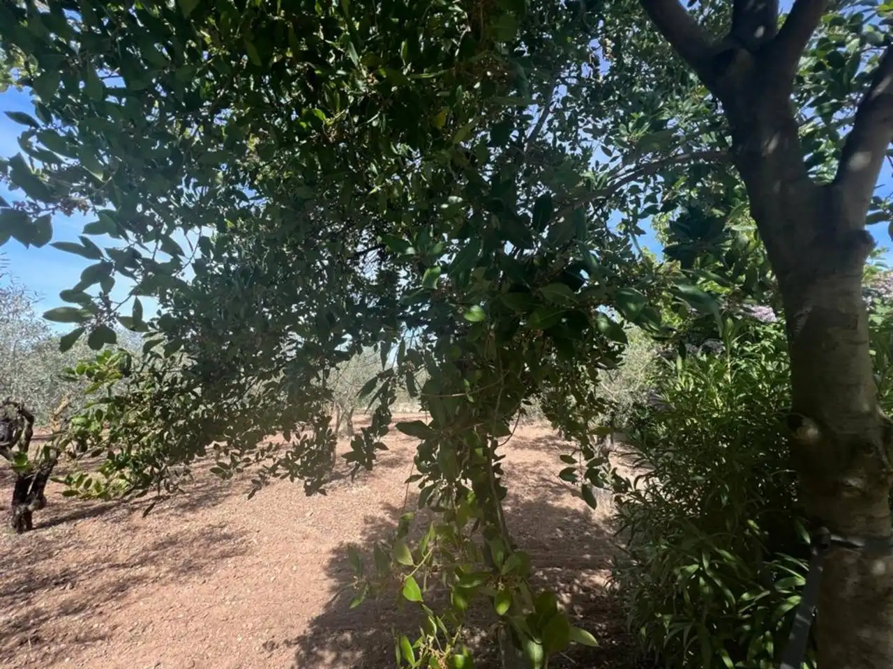 Chalet con jardín en venta en Calle Poligono, imagen 162