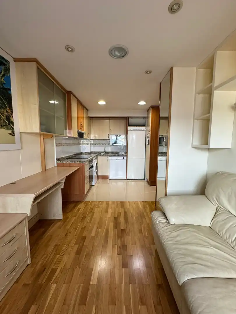Cocina de Piso de alquiler en Gijón  con Calefacción, Parquet y Amueblado