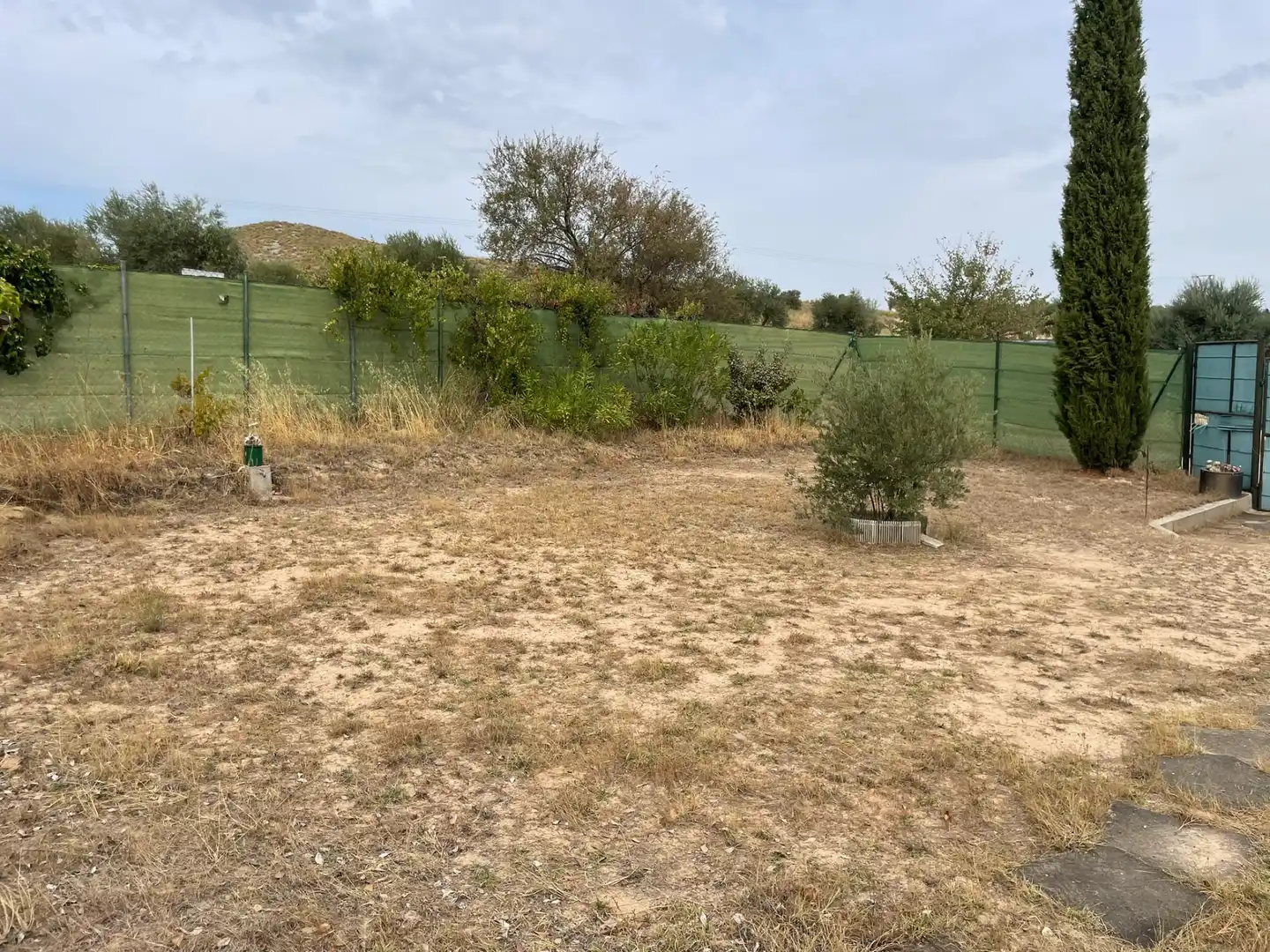 Terreny rústic en venda a M-313 6, imagen 30