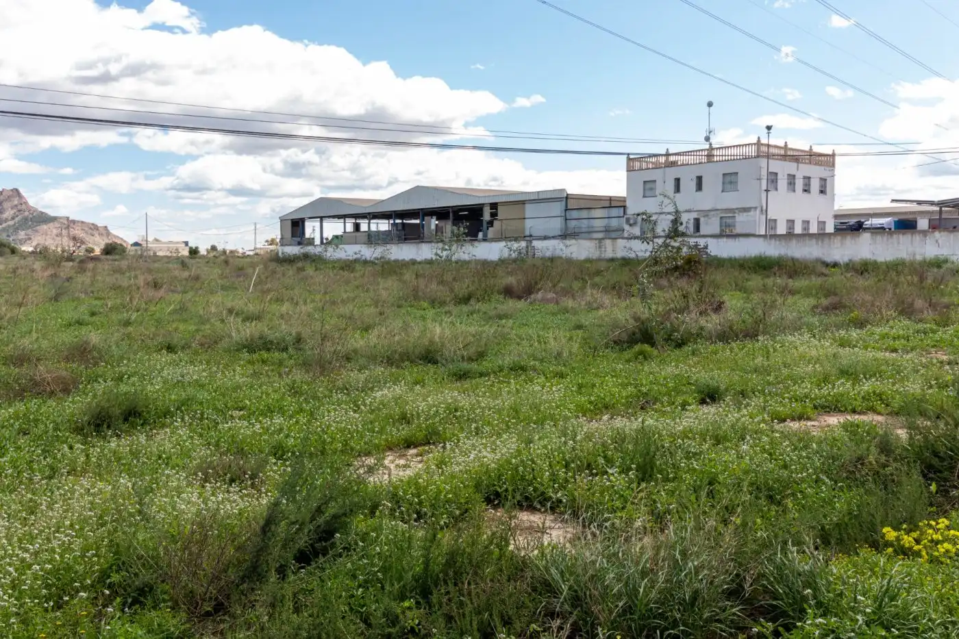 Rural land for sale in Montepinar - La Aparecida - Raiguero, imagen 11
