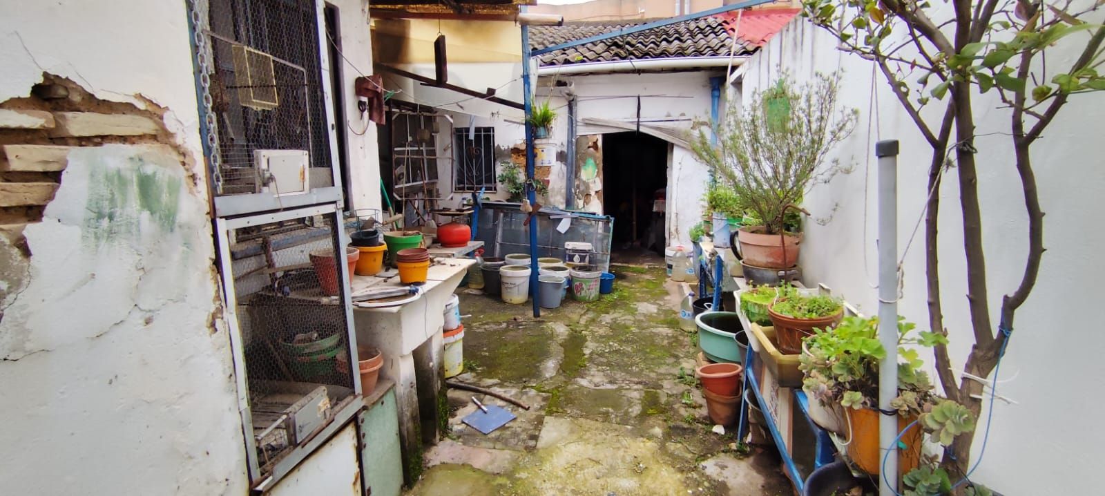 Exterior view of House or chalet for sale in  Sevilla Capital