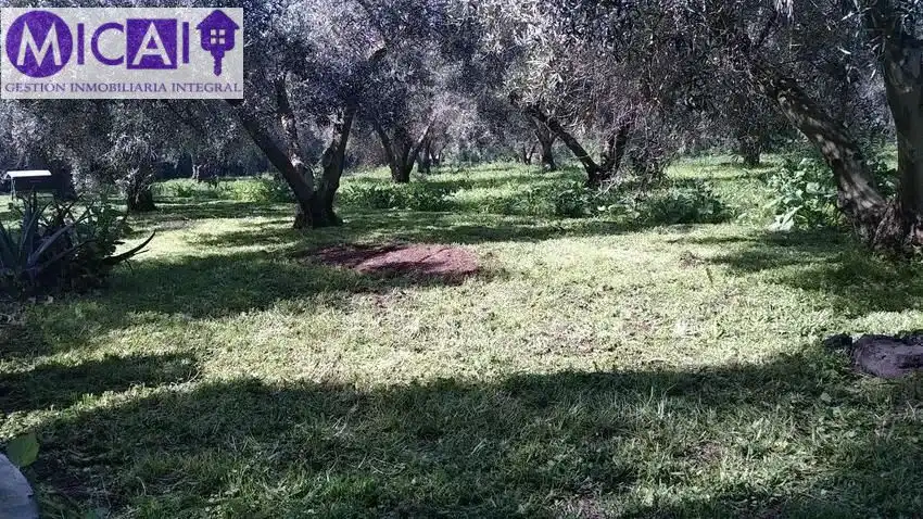 Casa o xalet en venda en Puerto Real amb Aire condicionat, Jardí privat i Terrassa