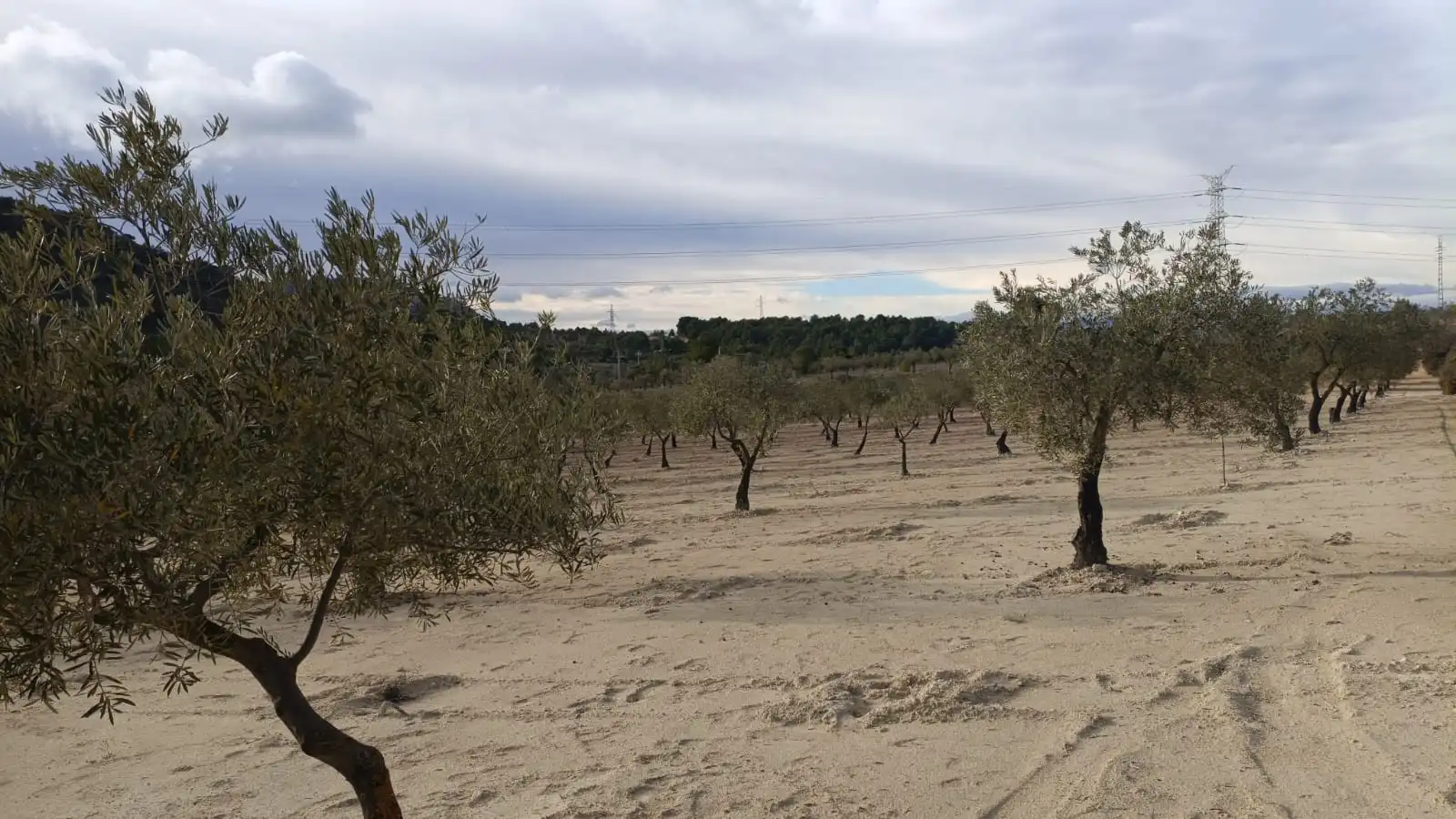 Rural land for sale in CV-799, imagen 3