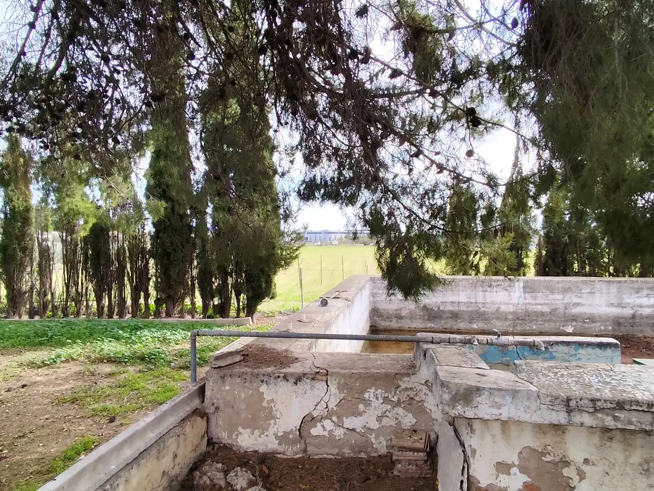 House with pool for sale in Onil, imagen 13
