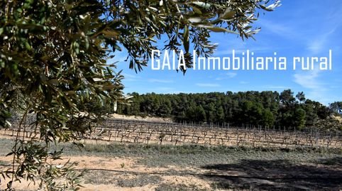 Immagine 5 dell'annuncio