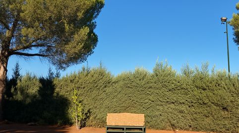 Foto 4 de Casa o xalet en venda a Granátula de Calatrava, Ciudad Real