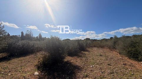 Foto 4 von Residential zum Verkauf in 16, Son Servera Poble, Son Servera