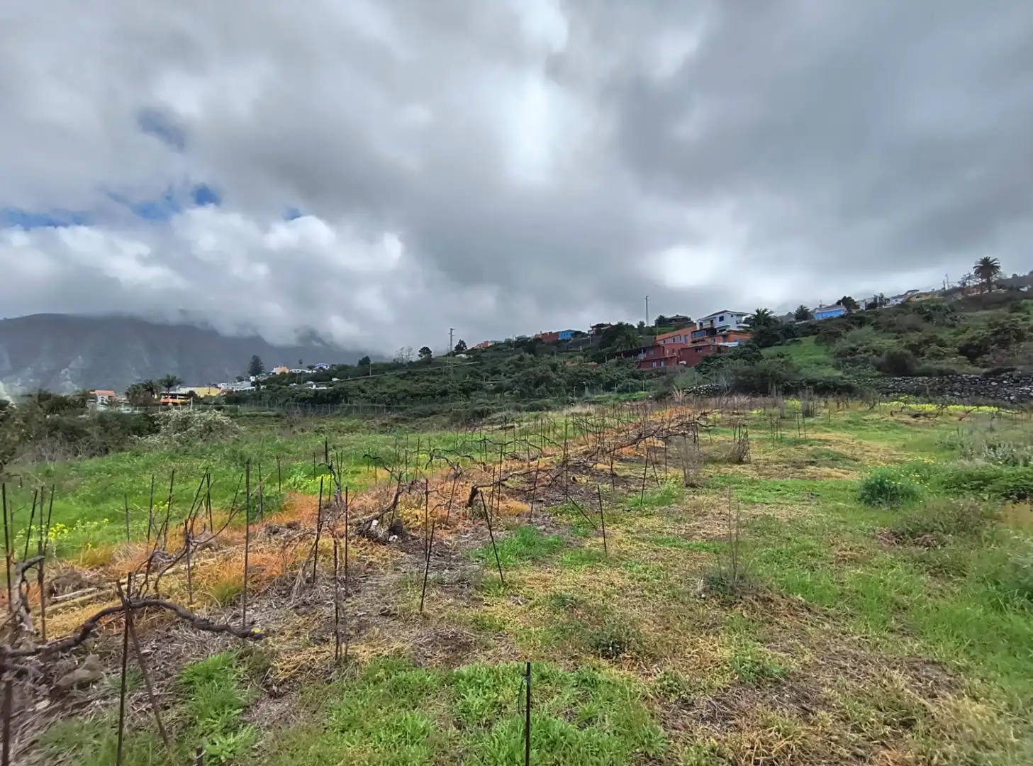 Houses for sale in La Orotava  with Private garden, Terrace and Storage room