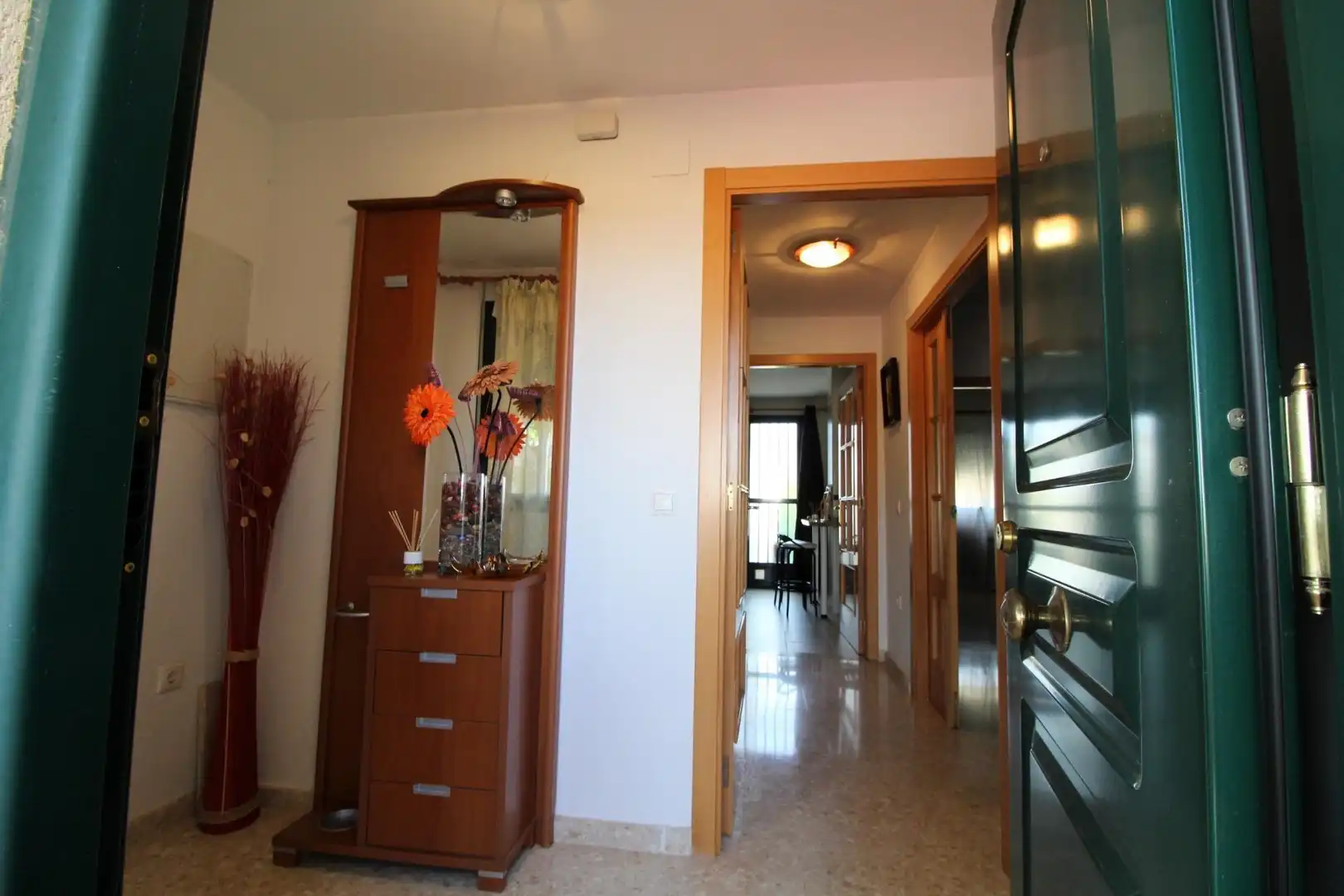 Detached homes for sale in Olivenza