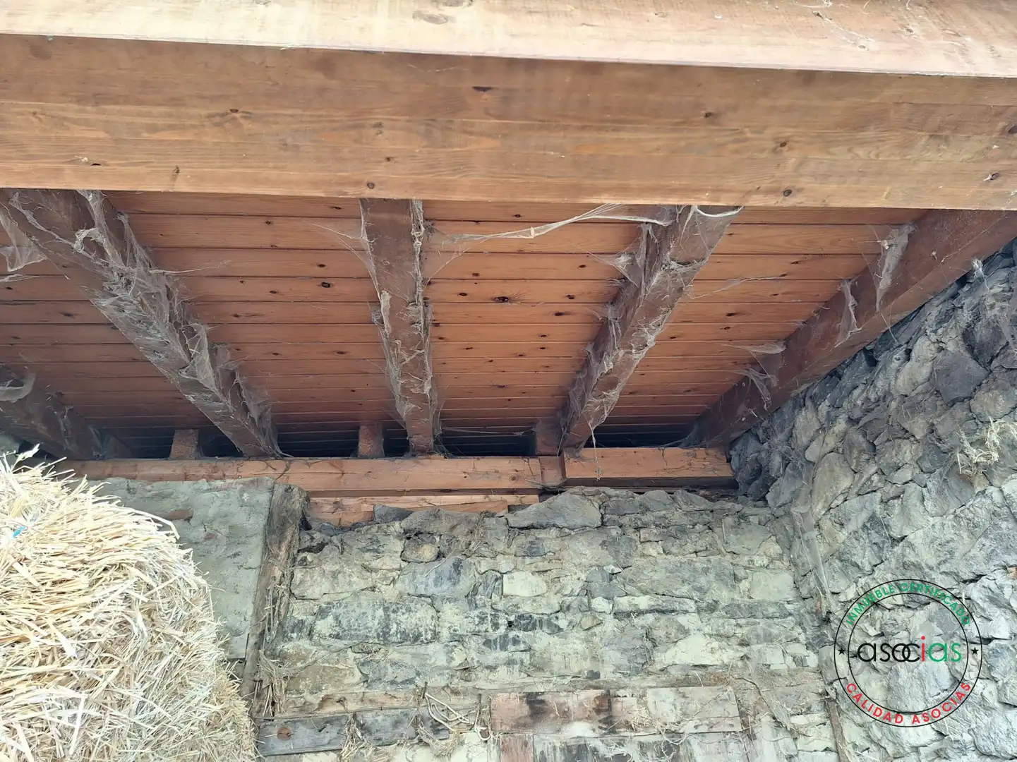 Haus zum Verkauf in Lena - Flor de Acebos 5, imagen 13