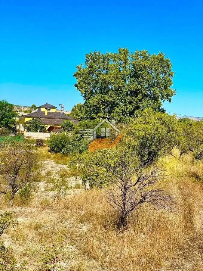 Residential land for sale in Vélez-Rubio, imagen 6