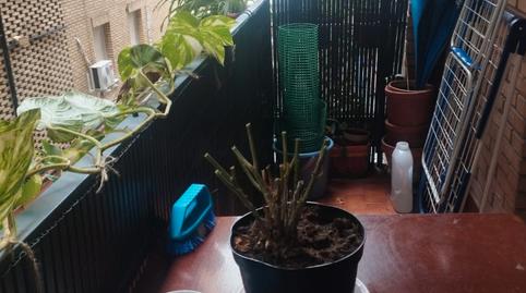 Foto 5 de Pis de lloguer a Calle Platero Repiso, Viñuela - Rescatado,  Córdoba Capital