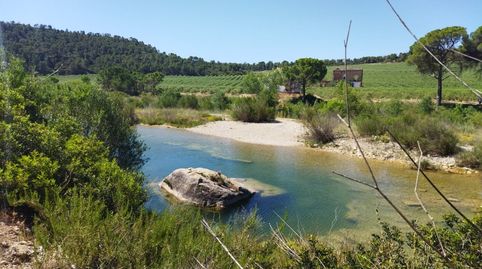 BATEA, FINCA DE 19 HECTÁREAS CON CASA DE CAMPO, REGADÍO Y SITUADA FRENTE AL RÍO ALGARS.
