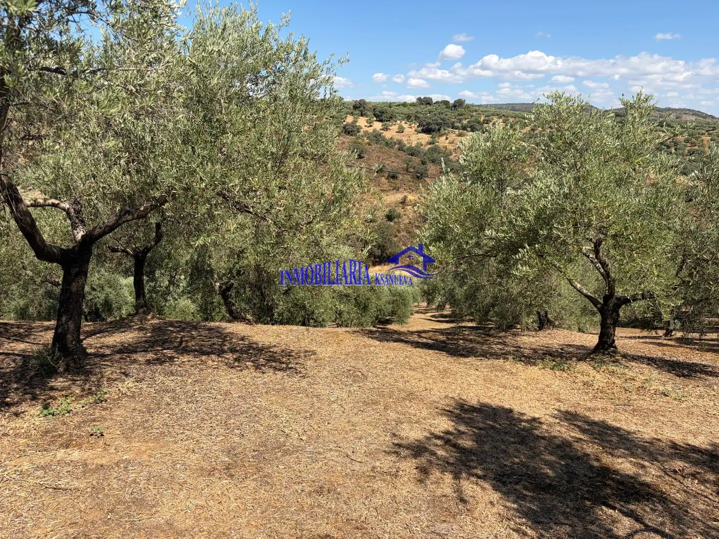 Finca rústica en venda en Adamuz