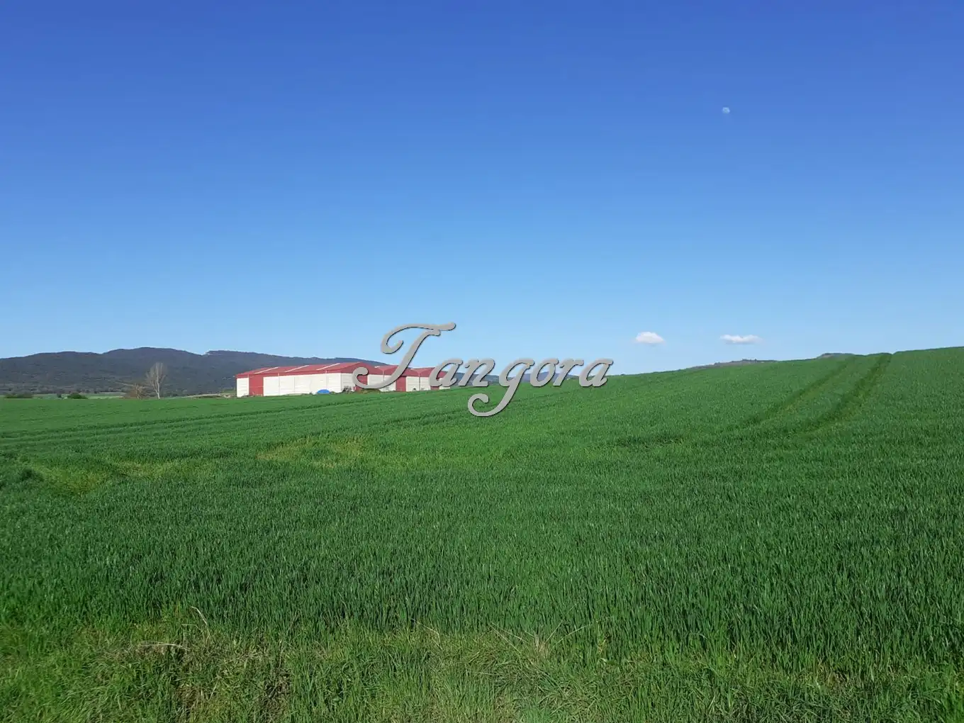 Industrial land for sale in La Puebla de Arganzón 