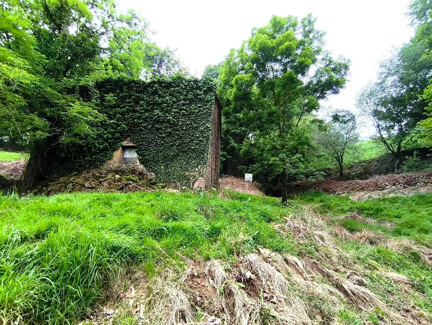 Casa o chalet en venta en Villacarriedo con Jardín privado