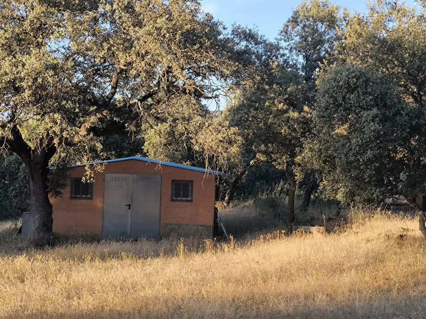Rural land for sale in Fuente Obejuna, imagen 15