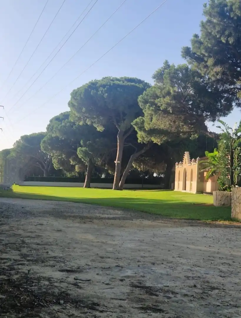 Garden of Houses for sale in Puerto Real
