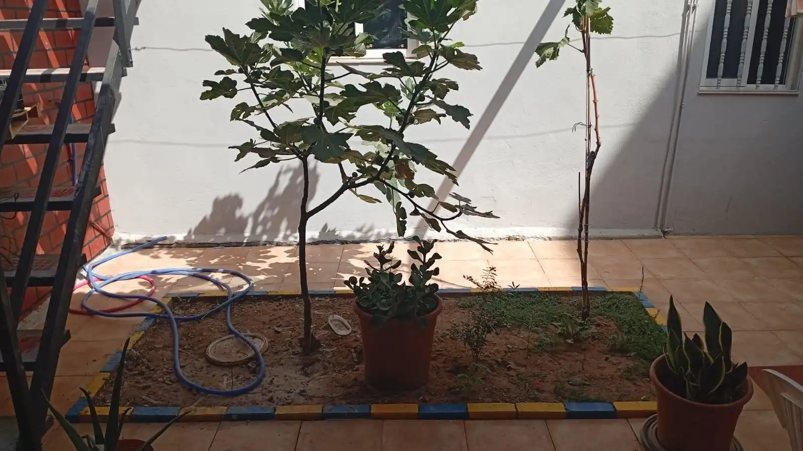 Jardín de Casa o chalet en venta en El Ejido con Aire acondicionado, Calefacción y Amueblado