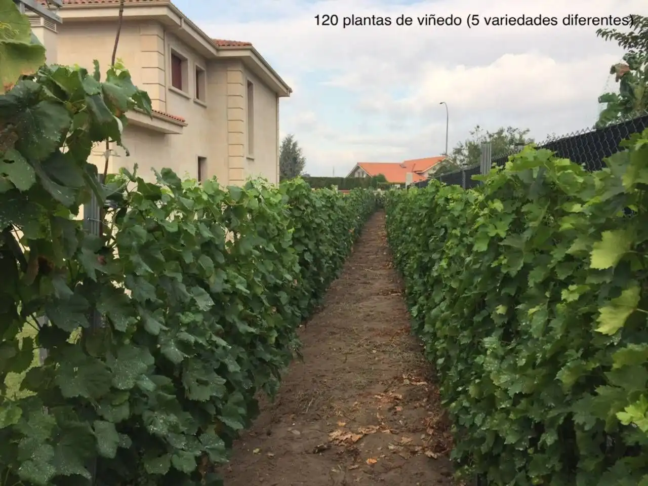 Außenansicht von Haus oder Chalet zum Verkauf in Verín mit Heizung, Privatgarten und Schwimmbad
