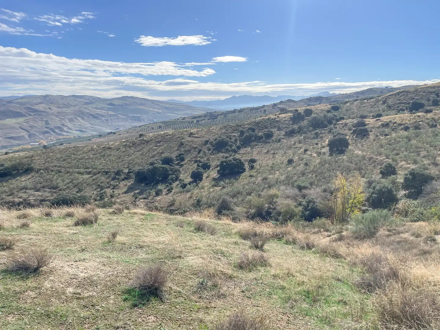 Grundstücke zum Verkauf in Alhama de Granada