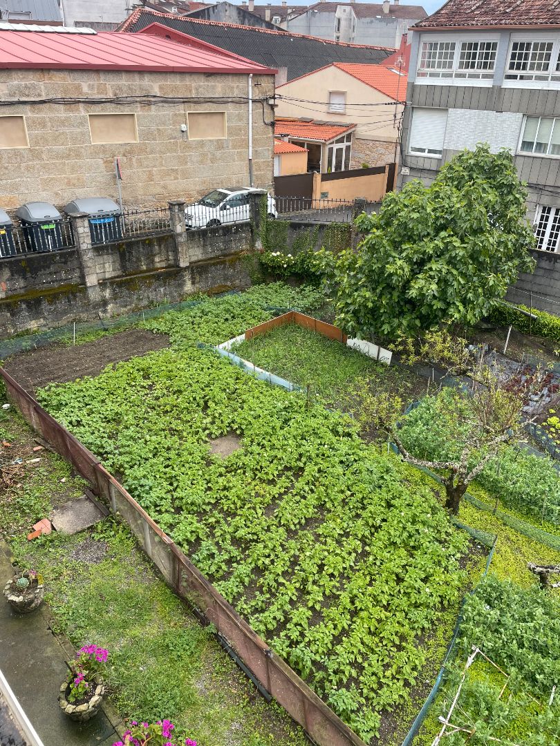 Garden of Residential for sale in A Illa de Arousa 