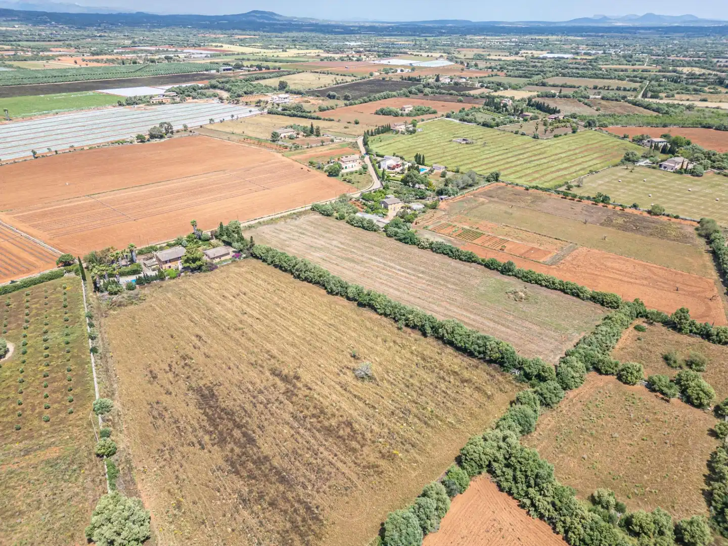 Rural land for sale in Felanitx Poble, imagen 28