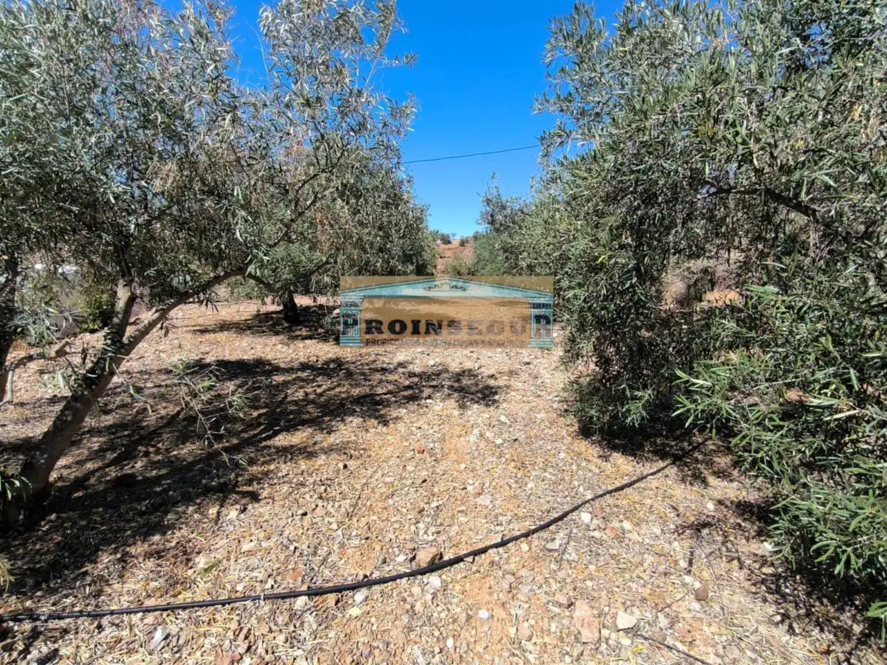 Casa rustica con piscina in vendita a Calle Toledillo, imagen 2