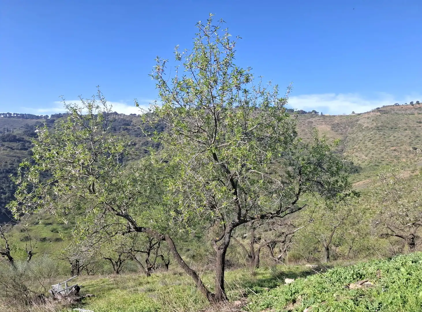 Vista exterior de Finca rústica en venta en Colmenar