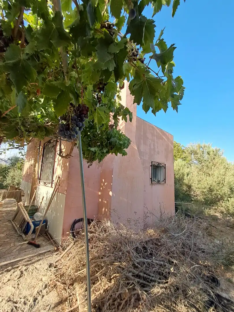Vista exterior de Finca rústica en venta en Berja