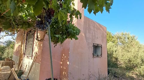 Foto 4 de Finca rústica en venta en Berja, Almería