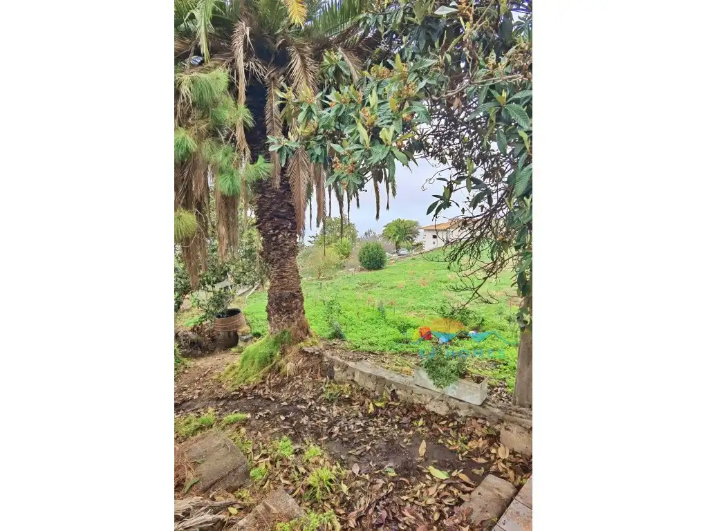 Houses for sale in La Orotava