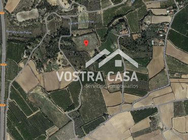 Terreno rustico in vendita a Cuatrocientos ochenta y cinco