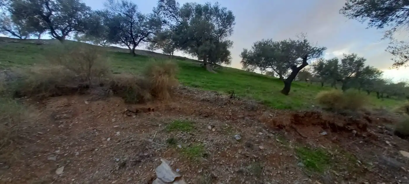 Terreni e lotti in vendita a Benajarafe, imagen 7