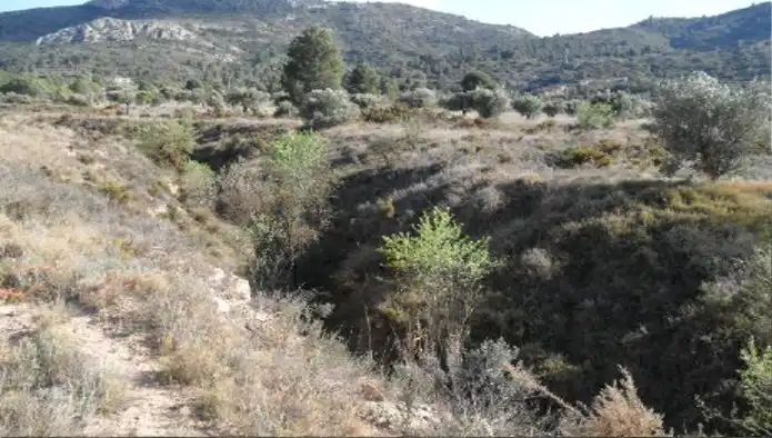 Terreno rústico en venta en Ptda Pinar, imagen 9