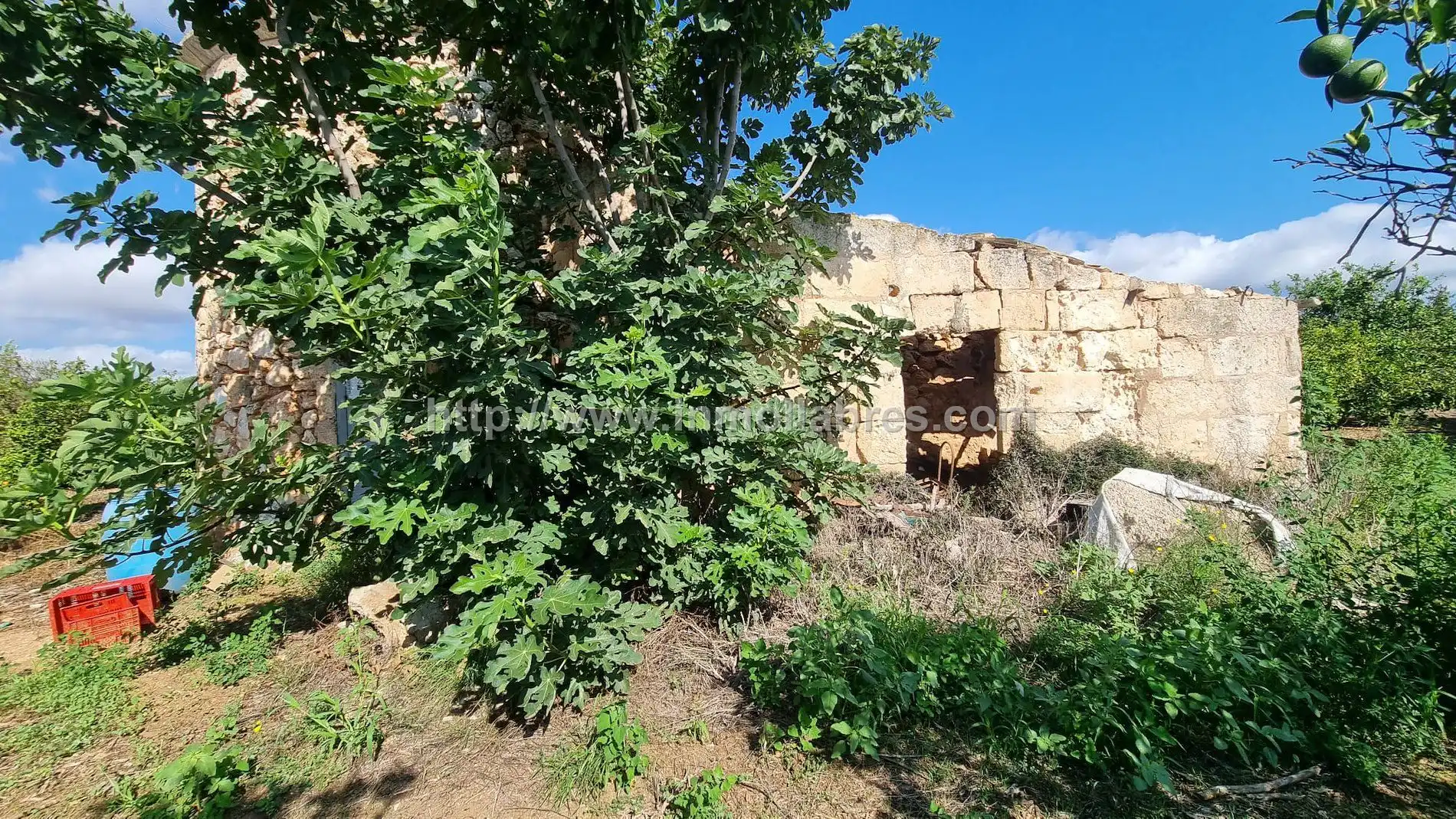 Maison rustique à vendre à Muro, imagen 3