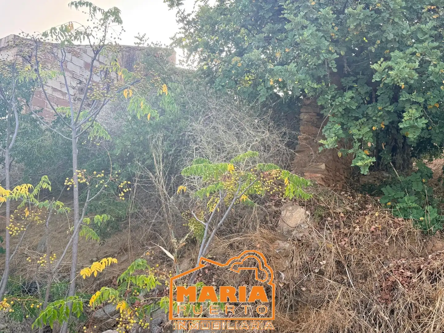 Terreno rustico in vendita a Almogía, imagen 28