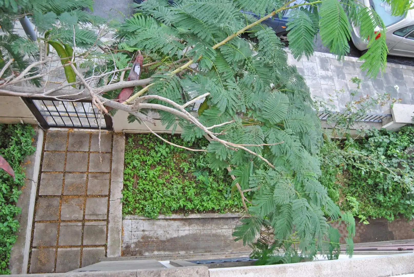 Casa amb jardí en venda a Rambla de Santa Cruz 49, imagen 34