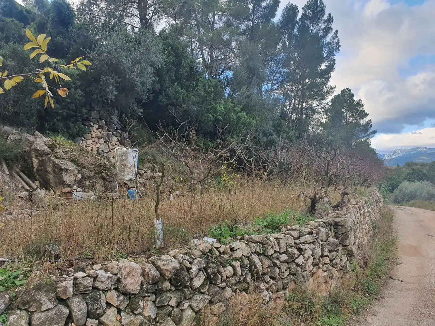 Terreno rústico en venta en Benifallet, imagen 7