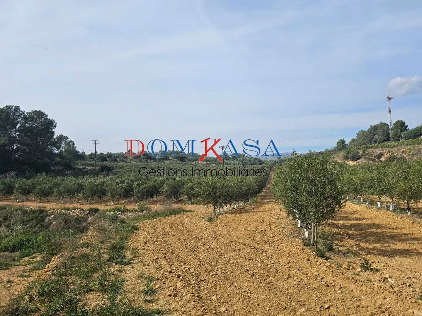 Industrial buildings for sale in Xerta