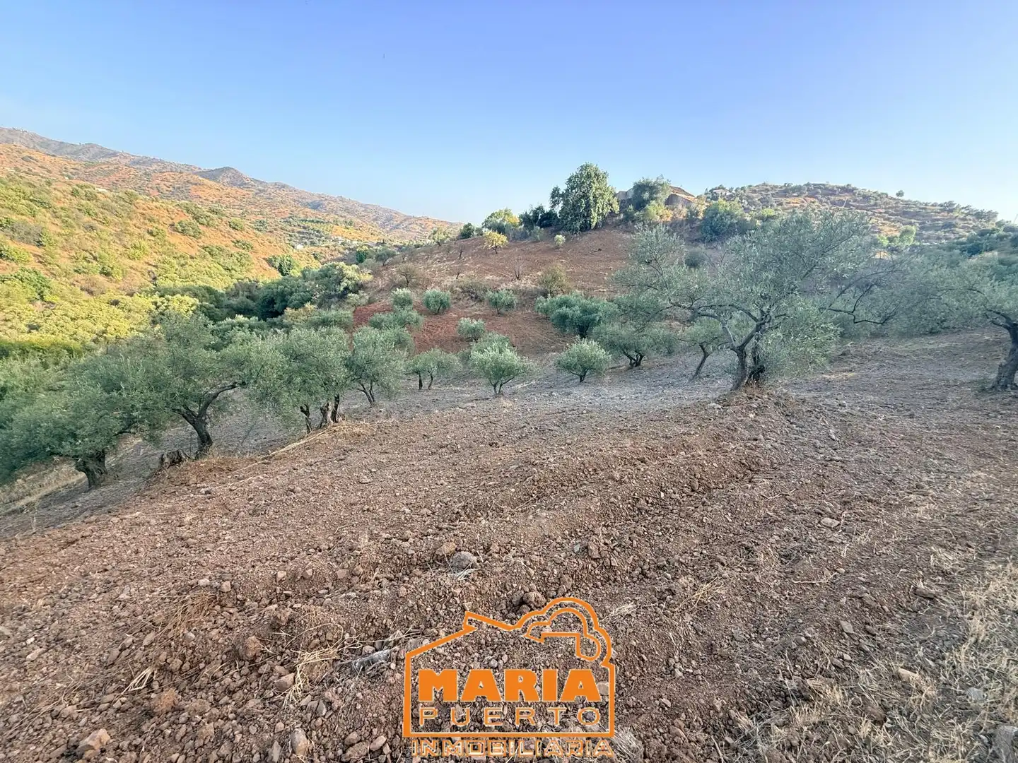 Terreno rustico in vendita a Almogía, imagen 4