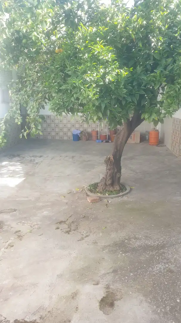 Casa en venda a Parque de la Constitución 5a, imagen 13