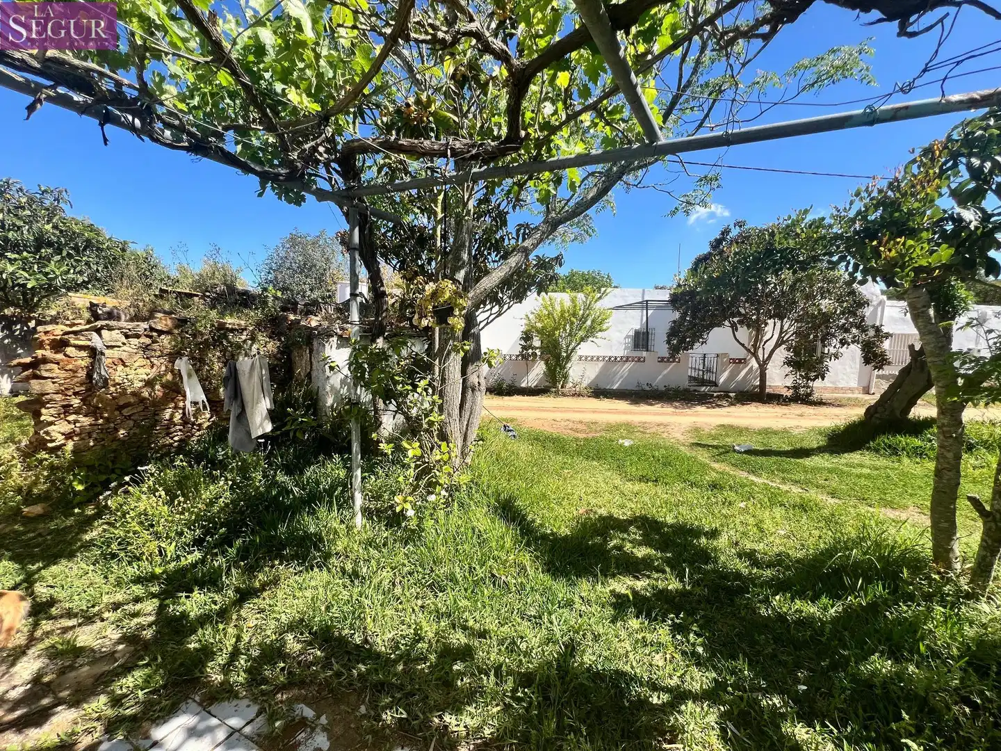 Terreni e lotti in vendita a Vejer, imagen 16